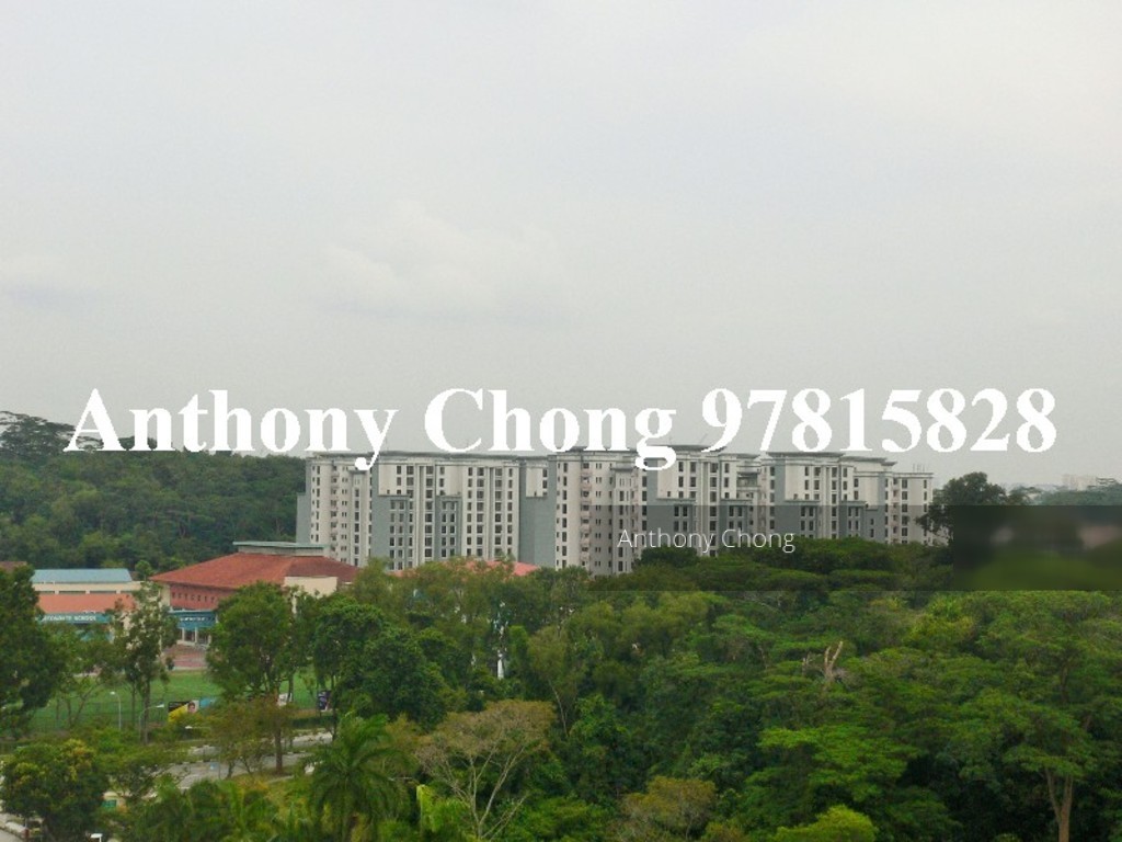 Blk 290G Bukit Batok Street 24 (Bukit Batok), HDB 5 Rooms #140471132